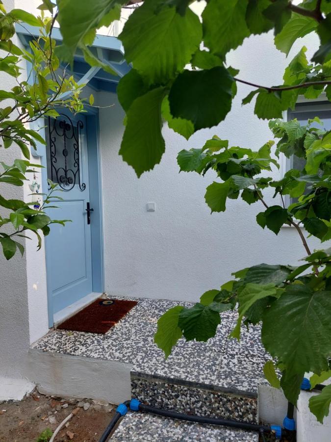 Mel'S Garden House In The Heart Of The City Bodrum Luaran gambar
